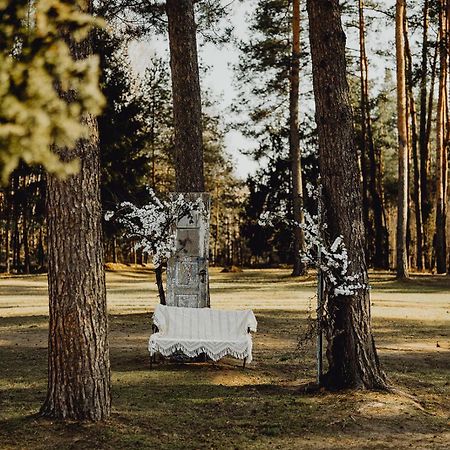 Chutor Nad Narwia Bed & Breakfast Ploski Bagian luar foto